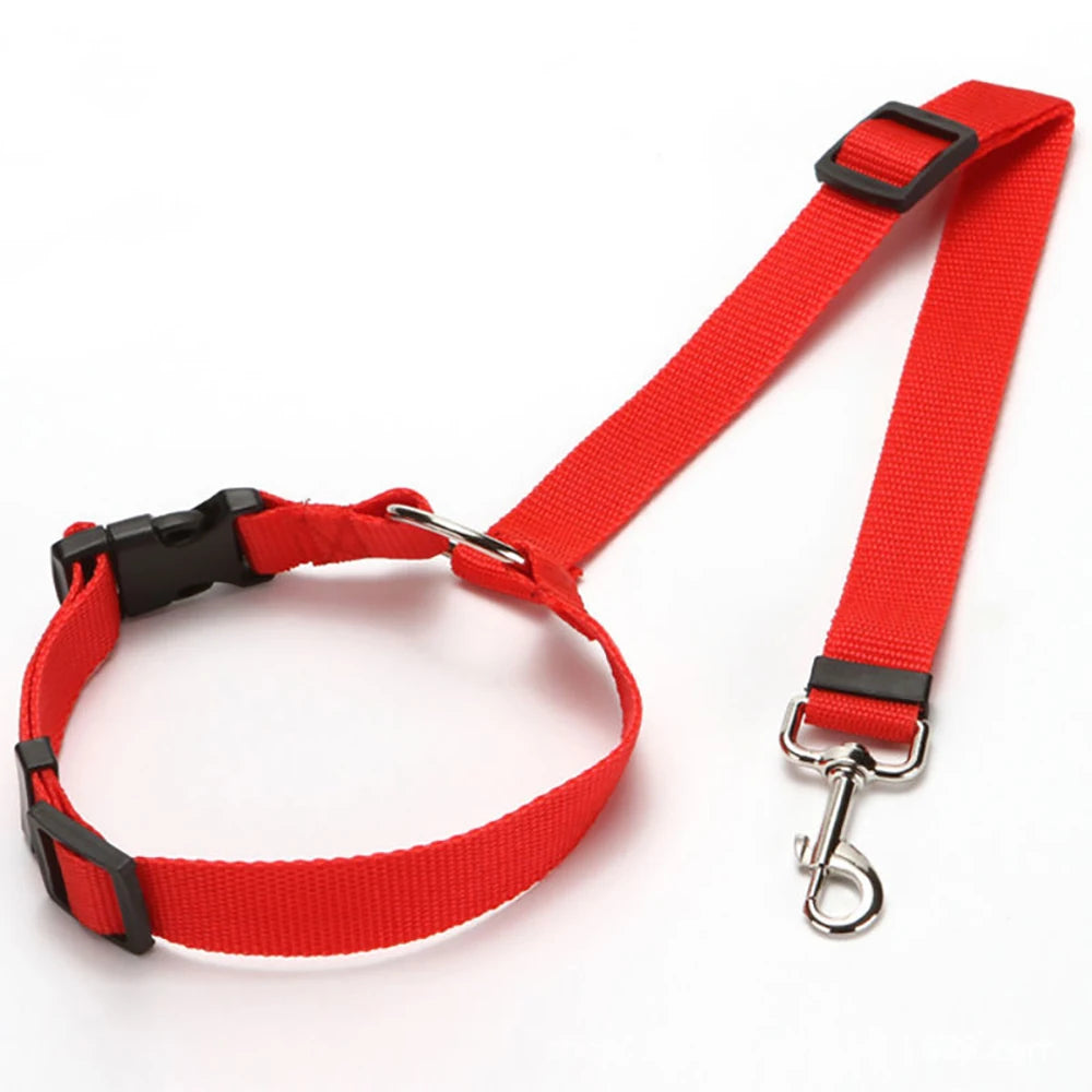 ceinture de sécurité pour chien
