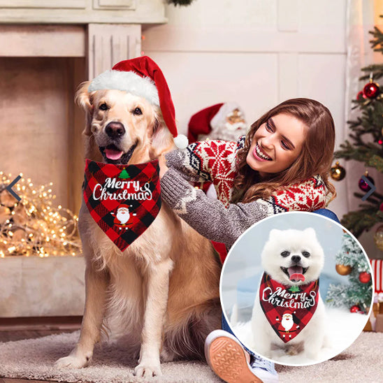 bandana pour chien | PawsOfChristmasâą
