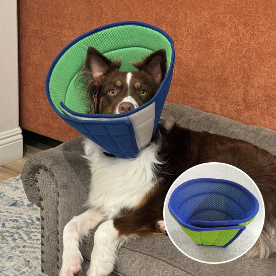 collerette pour chien | TheraPawâą