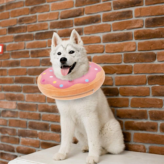 collerettes pour chiens | DonoCareâą