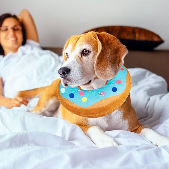 collerettes pour chiens | DonoCareâą