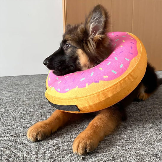collerettes pour chiens | DonoCareâą