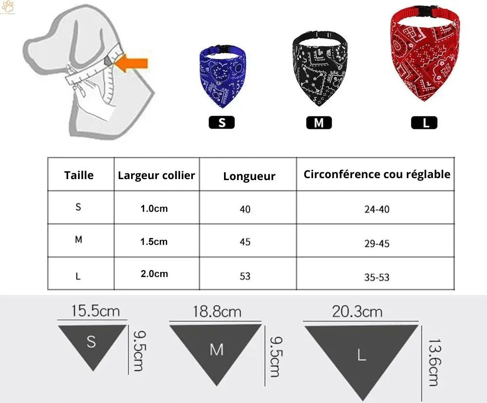 collier pour chien | ChicDoggy™