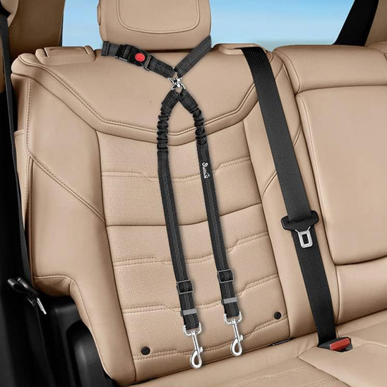 double laisse pour chien | DuoPaw ™