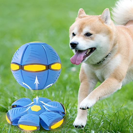 frisbee pour chien | MagicBall™