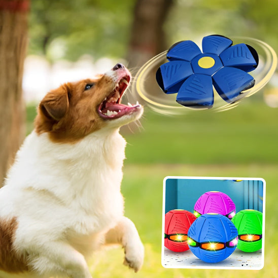 frisbee pour chien | MagicBall™
