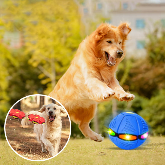 frisbee pour chien | MagicBall™