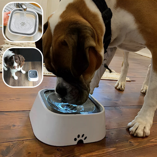 gamelle anti éclaboussure | WaterBowl™
