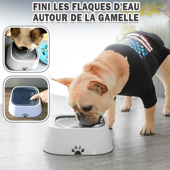 gamelle anti éclaboussure | WaterBowl™
