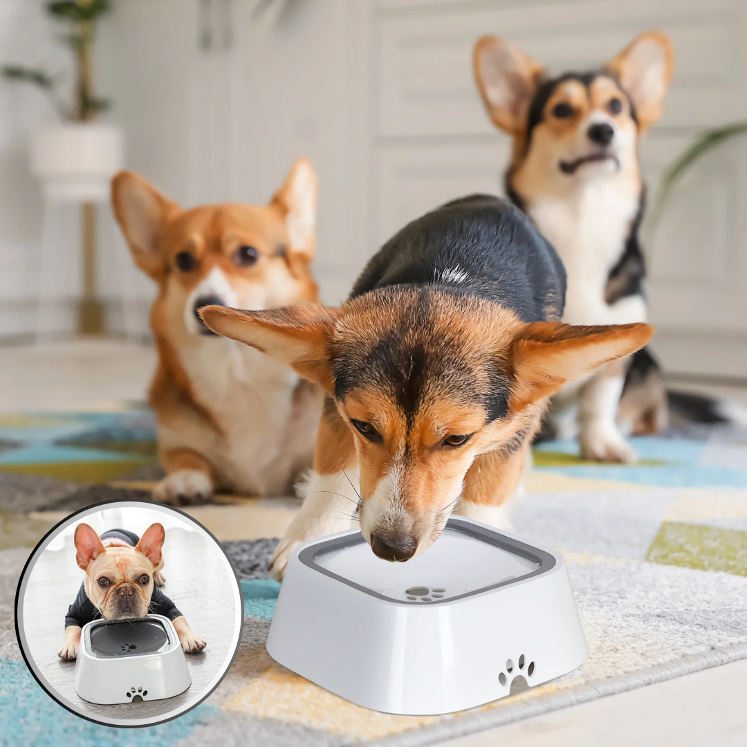 gamelle anti éclaboussure | WaterBowl™