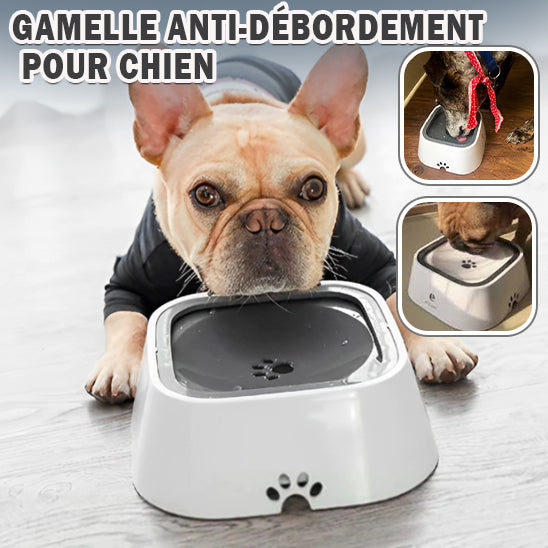 gamelle anti éclaboussure | WaterBowl™