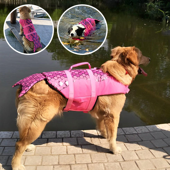 gilet de sauvetage pour chien | DoggySplashâą