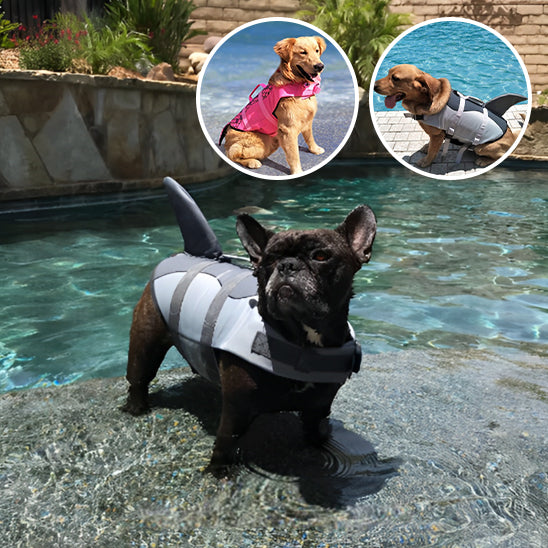 gilet de sauvetage pour chien | DoggySplashâą