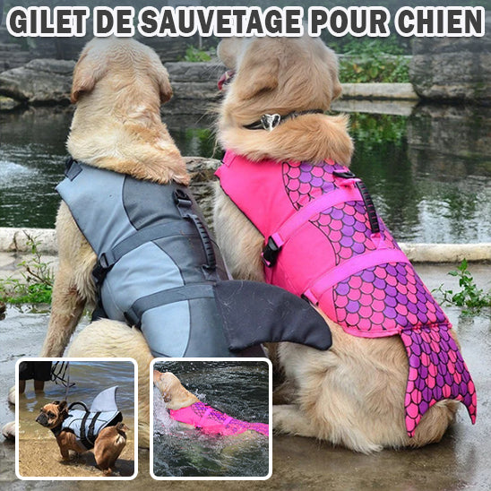 gilet de sauvetage pour chien | DoggySplashâą