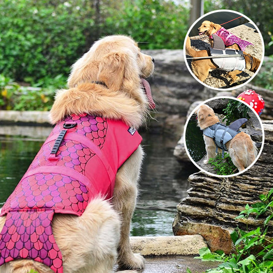 gilet de sauvetage pour chien | DoggySplashâą