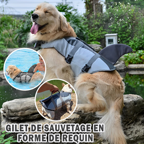 gilet de sauvetage pour chien | DoggySplashâą