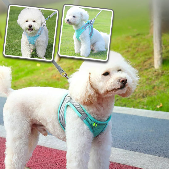 harnais chien | Harness™