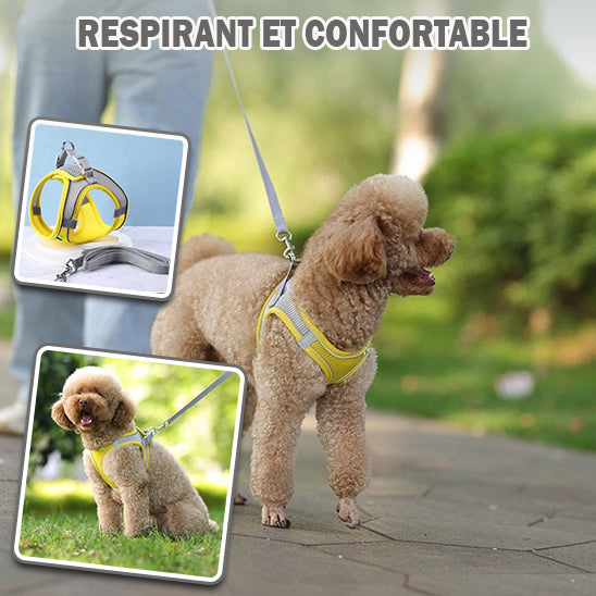 harnais chien | Harness™