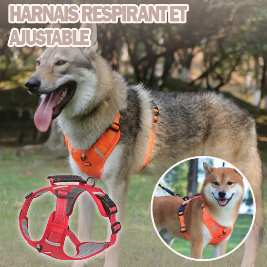 harnais pour chien | DogHarness™