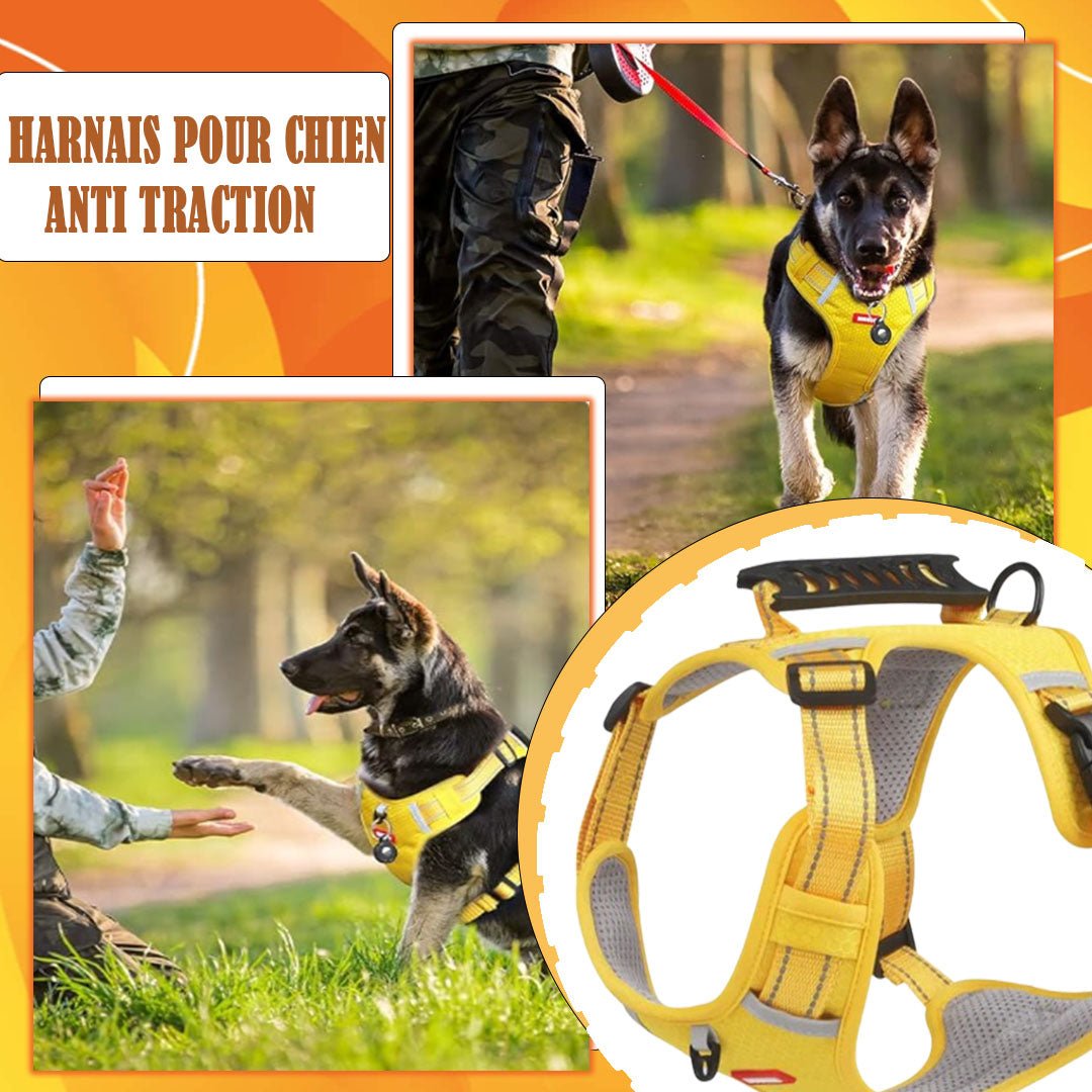 harnais pour chien | DogHarness™