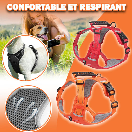 harnais pour chien | DogHarness™