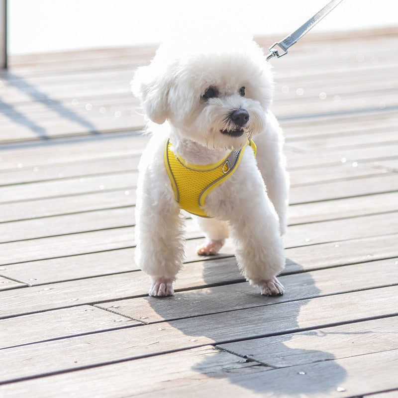 harnais chien | Harness™