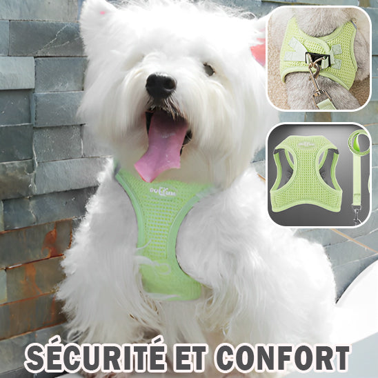 harnais pour chien | SafeDoggyâą