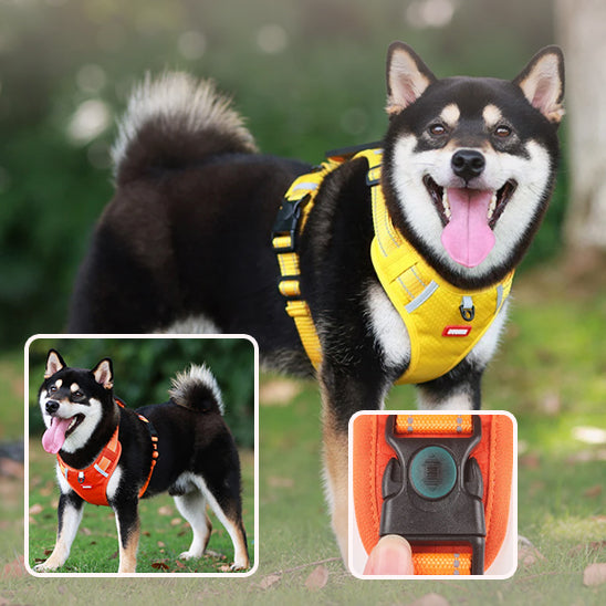 harnais pour chien | DogHarness™