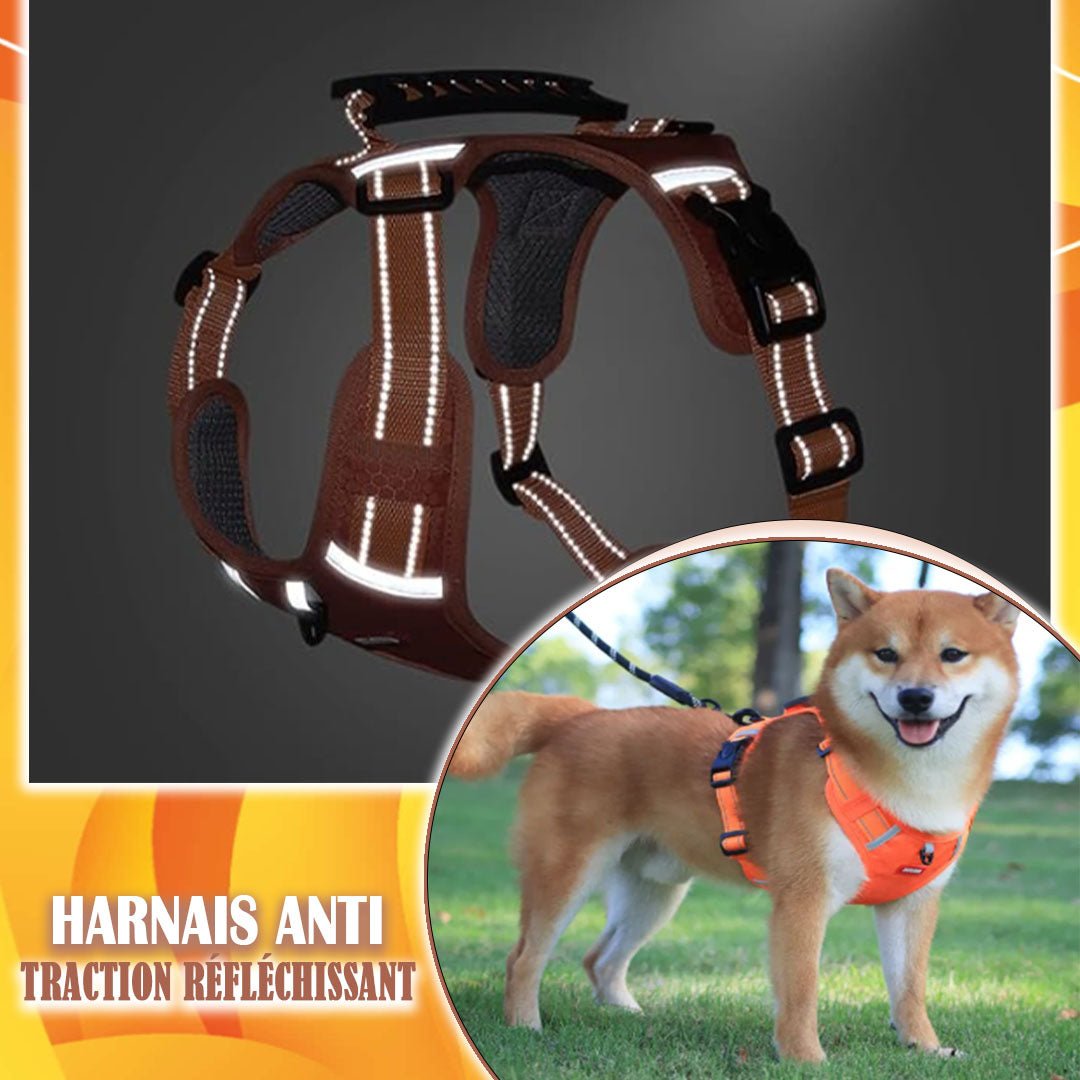 harnais pour chien | DogHarness™