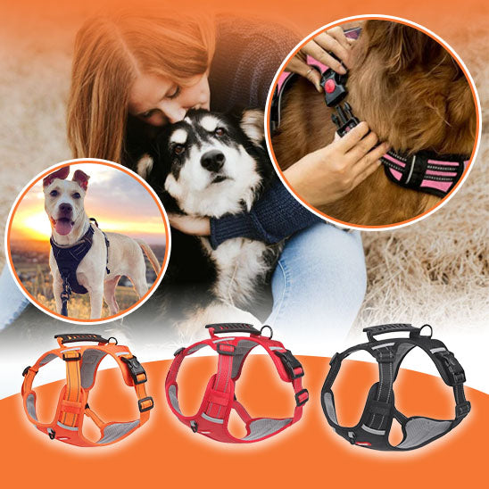 harnais pour chien | DogHarness™