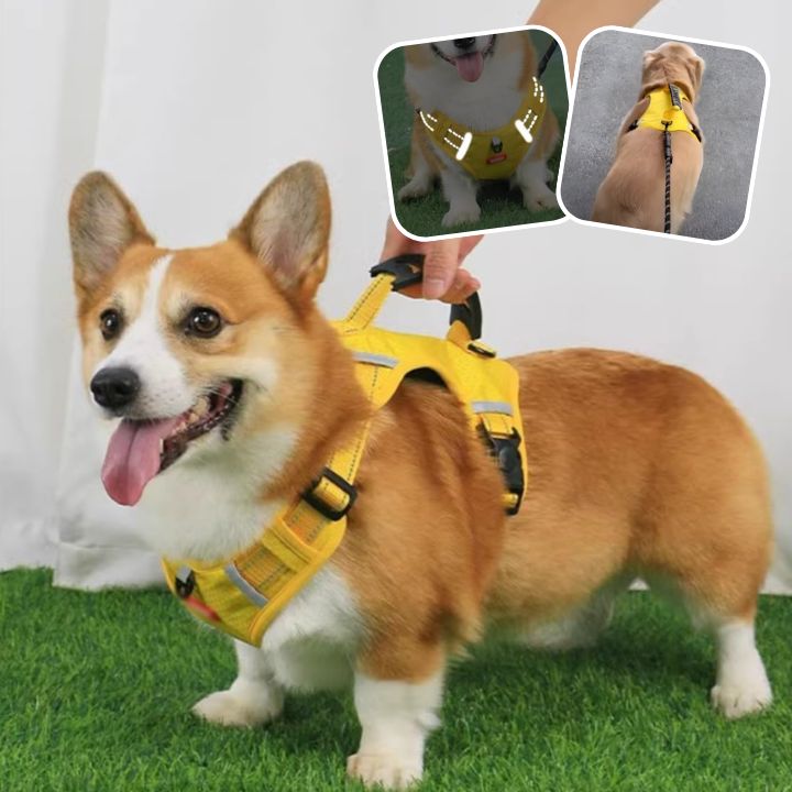 harnais pour chien | DogHarness™