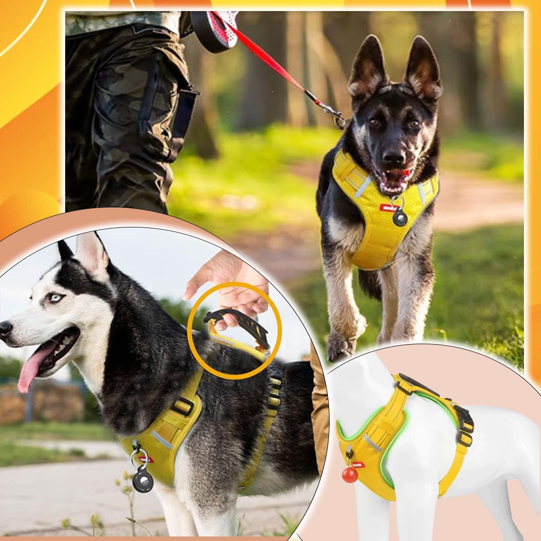 harnais pour chien | DogHarness™