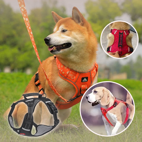 harnais pour chien | DogHarness™
