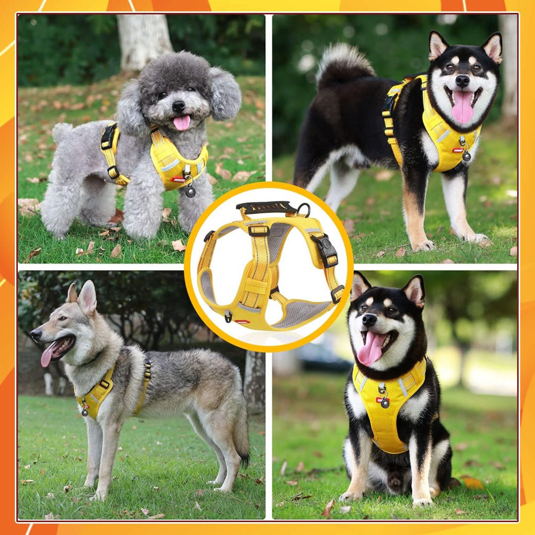harnais pour chien | DogHarness™