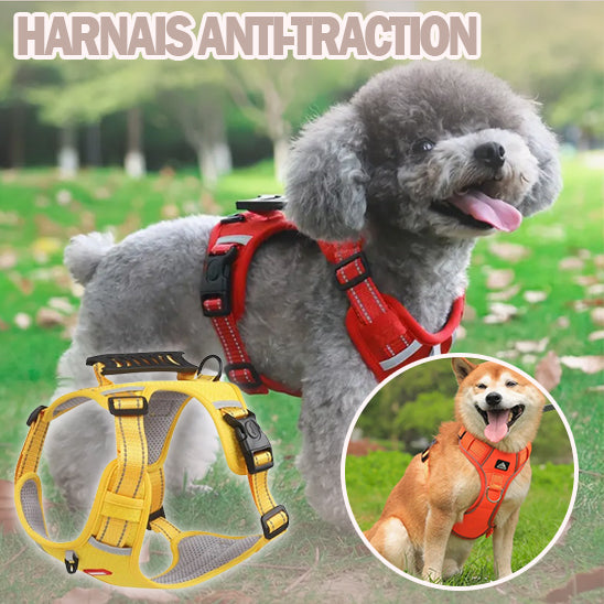 harnais pour chien | DogHarness™