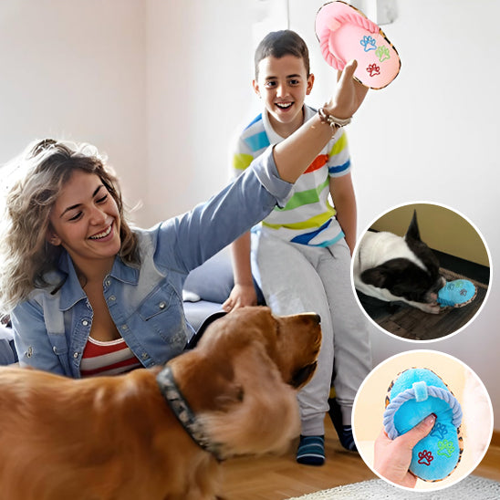 jouet chien | SlippersToysâą