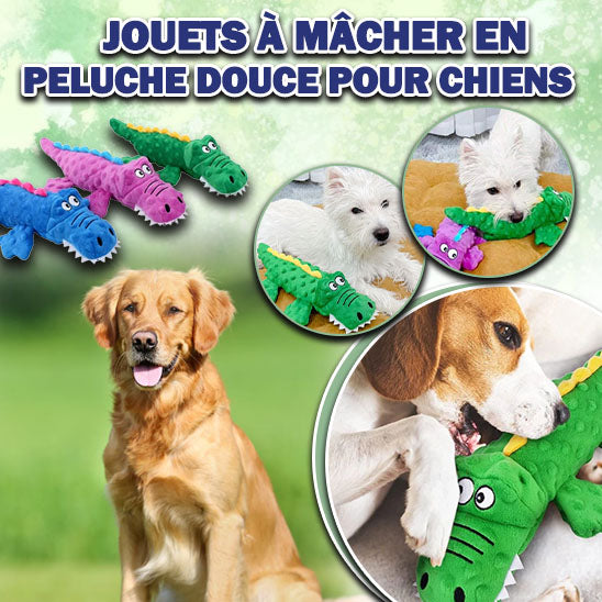jouet pour chien interactif