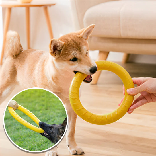 jouet pour chien interactif | DoggyDiscâą