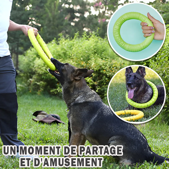 jouet pour chien interactif | DoggyDiscâą