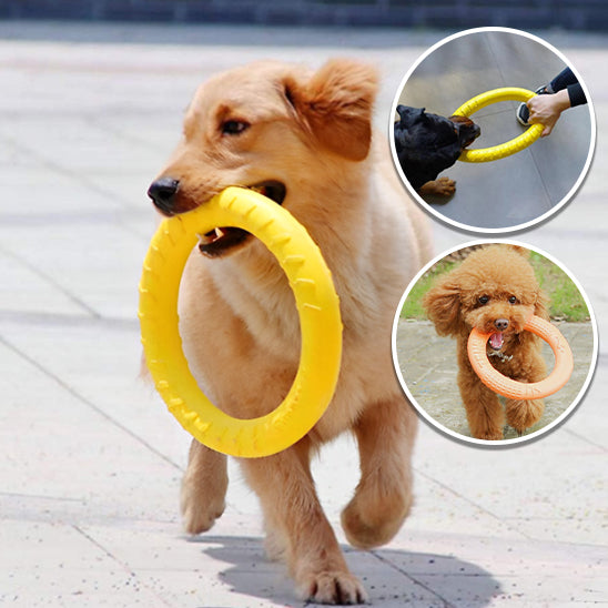 jouet pour chien interactif | DoggyDiscâą