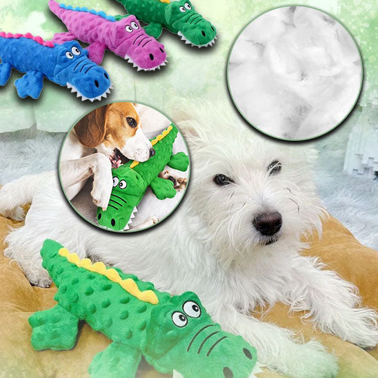 jouet pour chien interactif