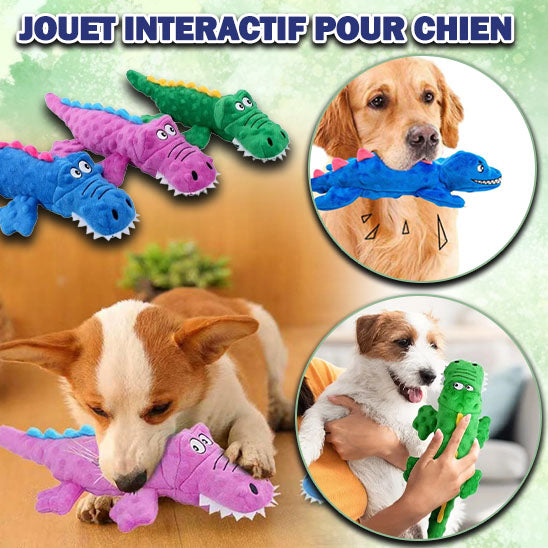 jouet pour chien interactif