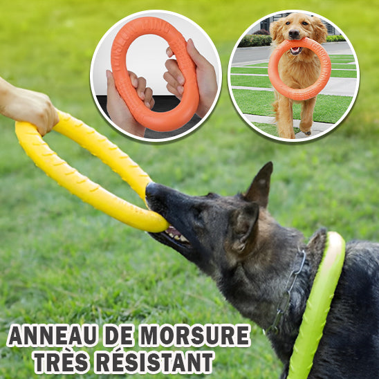 jouet pour chien interactif | DoggyDiscâą