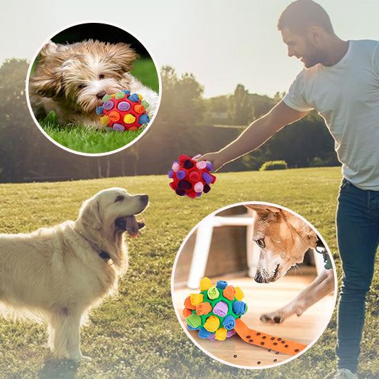 jouet-pour-chien-recompense