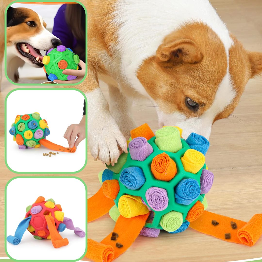jouet-pour-chien