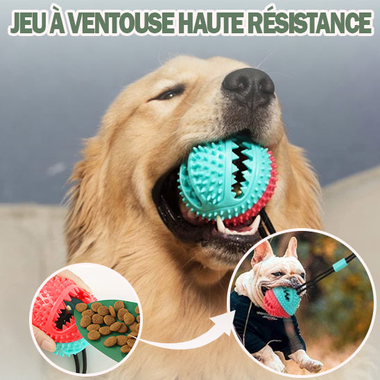 jouet pour chien | FunBall™