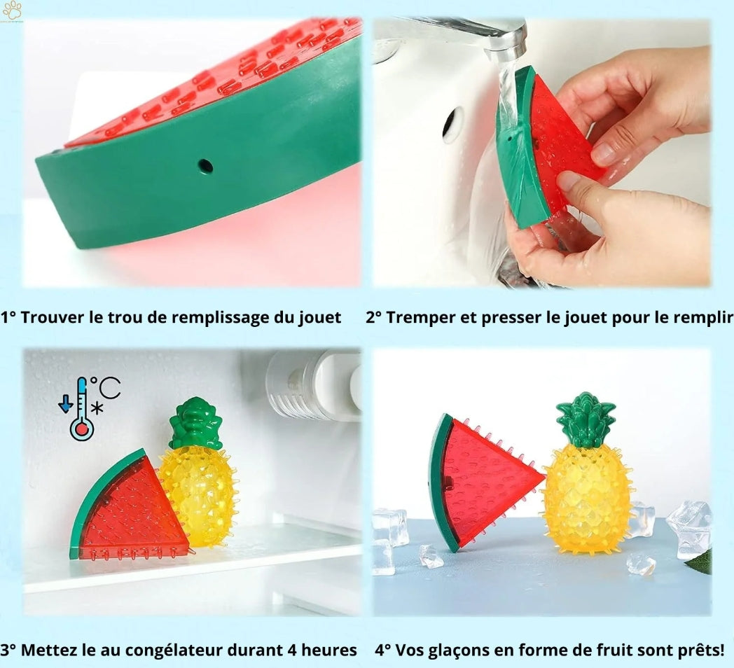 jouet rafraichissant chien | FreezeToy™