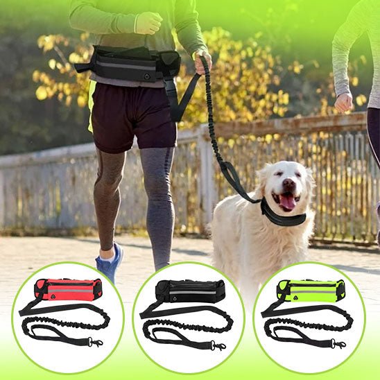 laisse main libre chien