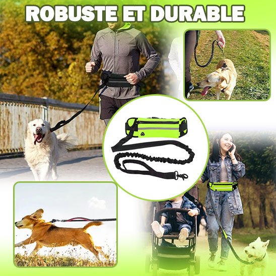 laisse main libre chien