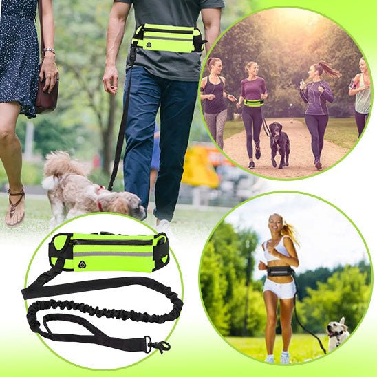 laisse main libre chien